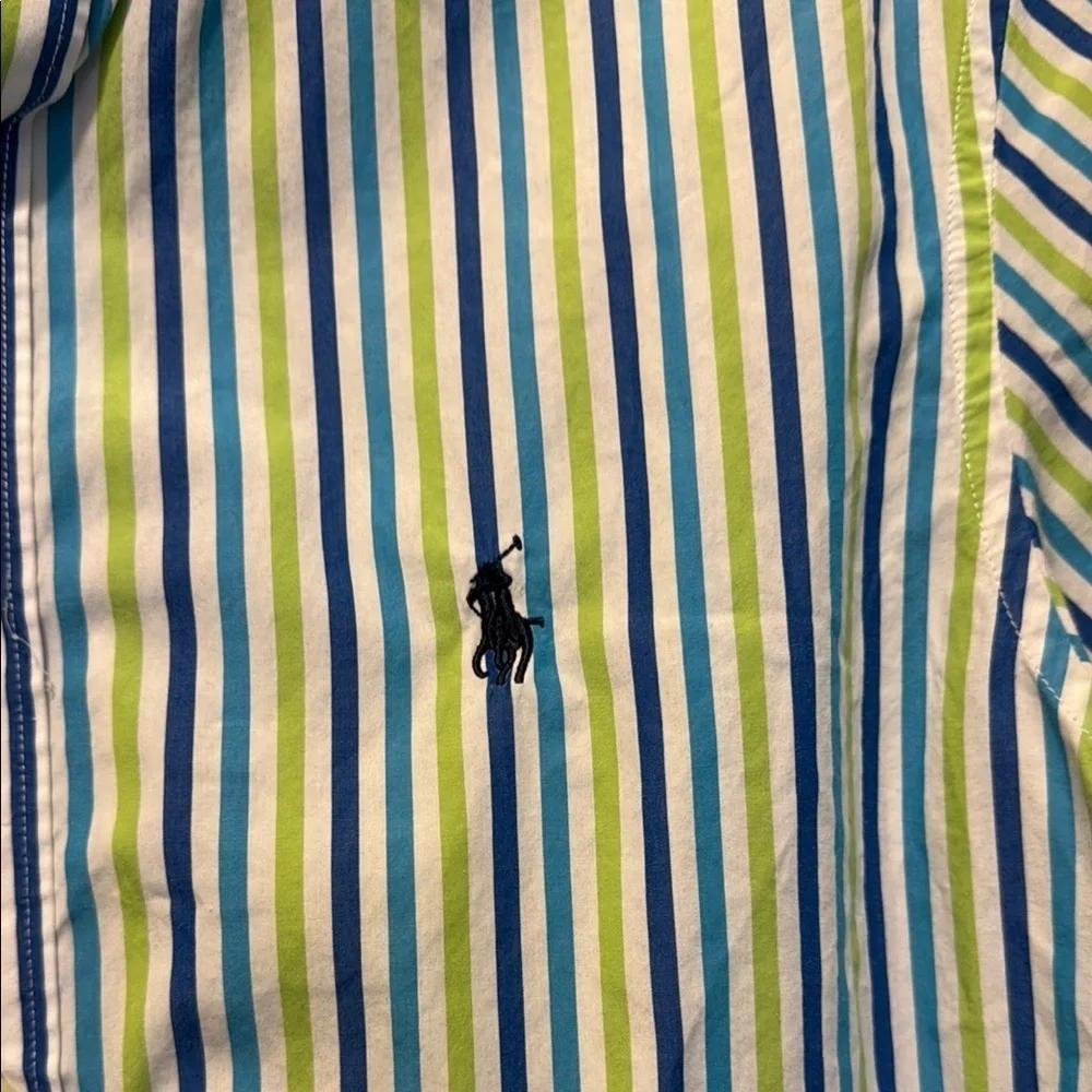 Polo by Ralph Lauren Blue and Green Casual Button Down Shirt